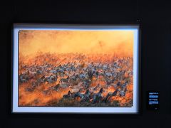 -罗红摄影艺术馆