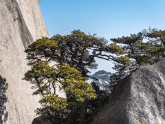 -天柱山风景区