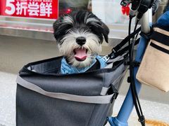 -红花点心局(大观园店)
