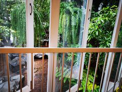 -Fern Forest Cafe