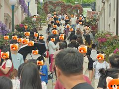 -孙文西路步行街