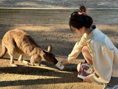 -费瑟代尔野生动物园