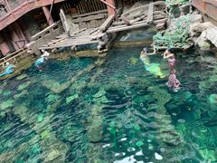 -长鹿旅游休博园