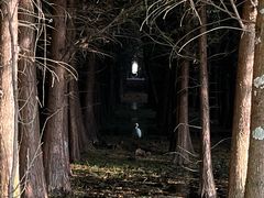 -捞渔河湿地公园