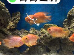 -青青世界