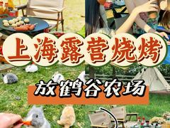 -栖露营camping·天幕烧烤·团建拓展·采摘营地