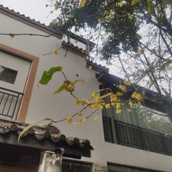点击看大图 -莲生母婴月子中心(清水河公园店)
