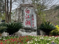 -广州白江湖森林公园