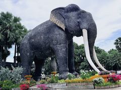 -东芭乐园