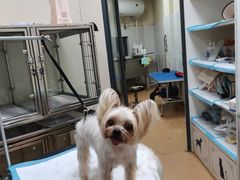 -芭比堂宠物医院·全科爱猫医院·仁德分院