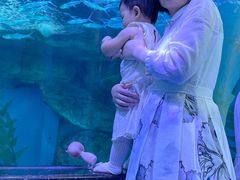 -泉城欧乐堡海洋极地世界