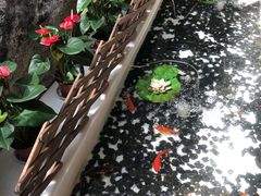 -太湖饭店·寄畅轩中餐厅