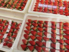 -西郊国际农产品交易中心