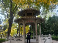 -玲珑塔公园