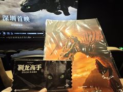 -星河寰宇IMAX影城(星河WORLD·COCO Park店)