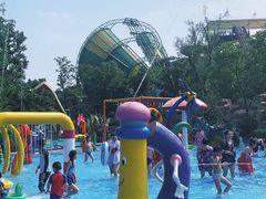 -苏州乐园森林水世界