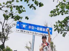 -盐城丹顶鹤湿地生态旅游区