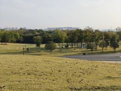 -盘龙城国家考古遗址公园