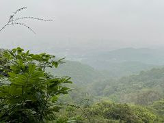 -广州市白云山风景名胜区