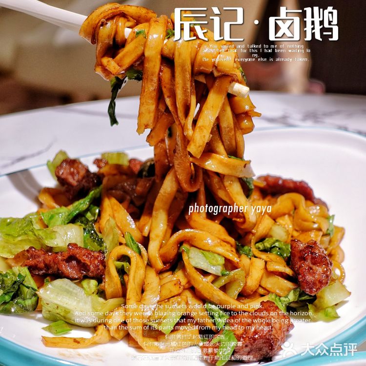 辰记 卤鹅｜藏着“世界鹅王”狮头鹅！