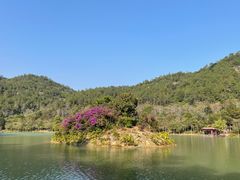 -广州白江湖森林公园