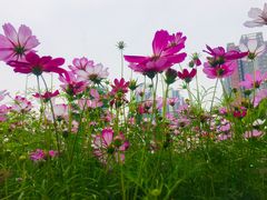-成都中医药大学(温江校区)