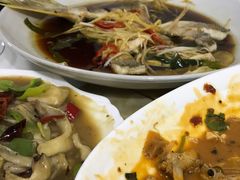-煲来饱去冷水鱼
