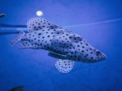 -海合安武汉极地海洋公园