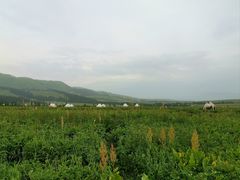 -新疆那拉提国家旅游度假区