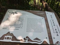 -石老人观光园
