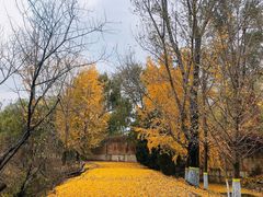 -北京市朝阳区第二少儿业余体校