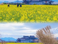 -三垟湿地