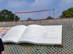 -观潮胜地公园