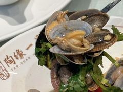 -陶缘一号·四季缘·老字号顺德菜·户外婚礼家宴(西滘店)