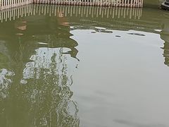 -檀园