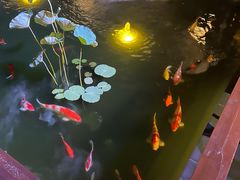 -濮园 · 四合院餐厅