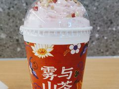 -雾与山茶(大禹城店)