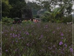 -明仕田园