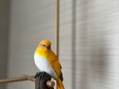 -北京北辰洲际酒店