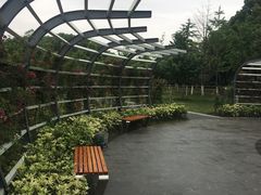 -紫荆广场·花漫里