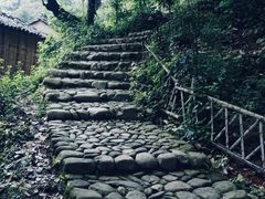 -杨家堂村