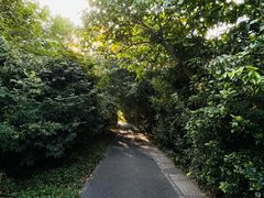 -华侨城湿地公园