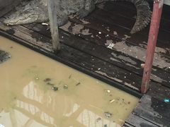 -洞里萨湖