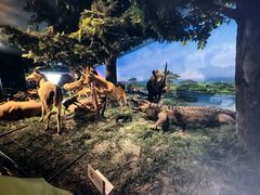 -国家自然博物馆