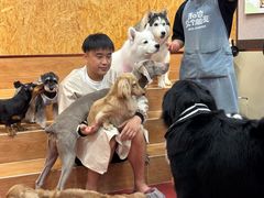 -和它·交个朋友·狗咖猫咖(爱琴海店)