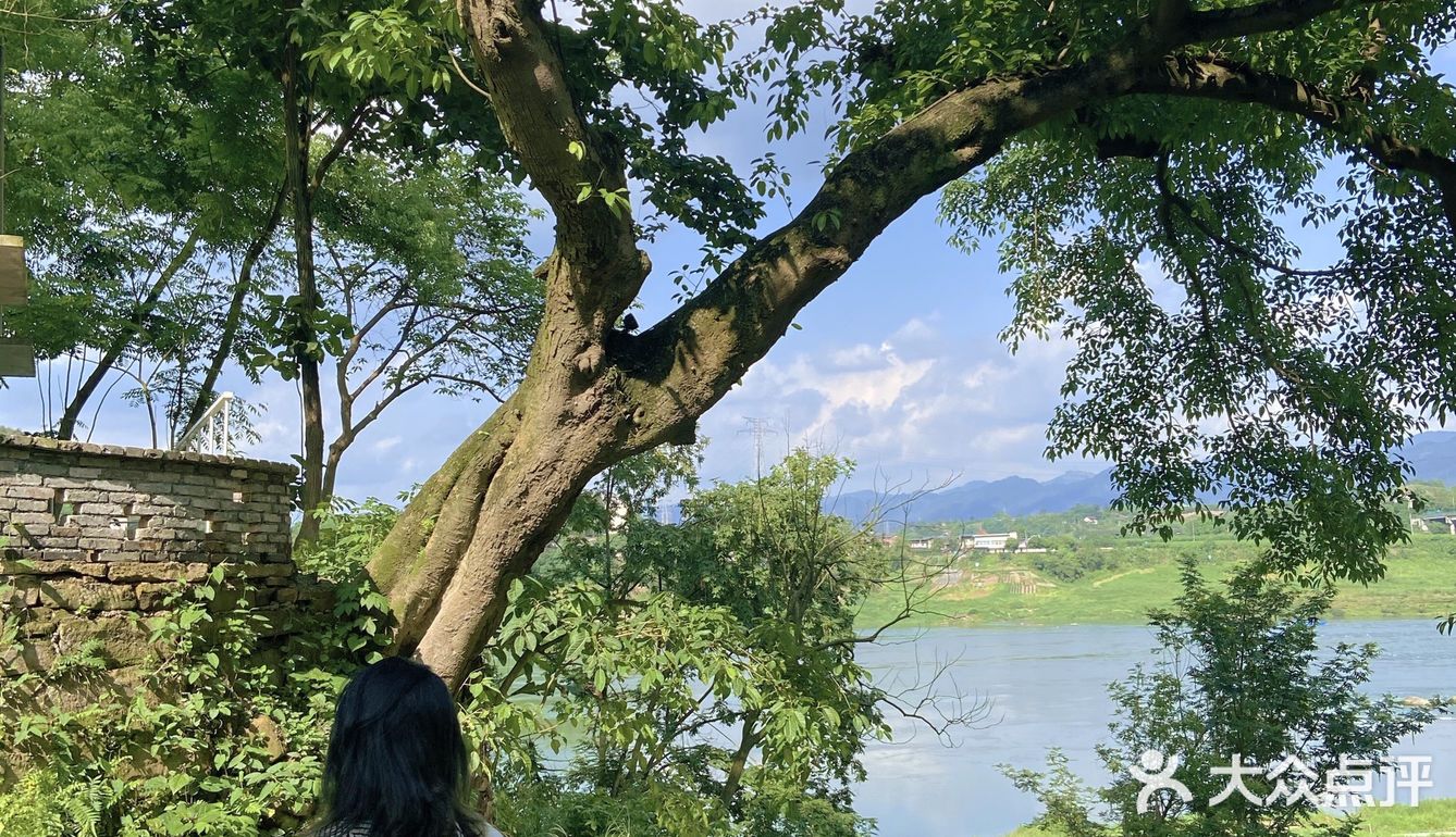 重庆小众景点｜🌳金刚碑古村落