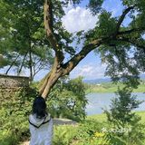 重庆小众景点｜🌳金刚碑古村落