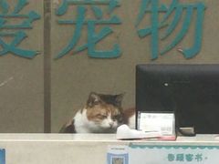 -安安宠医·臻爱宠物医院(簇锦北路分院)