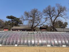 -红螺寺