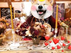 -慢隅法式小馆·生日求婚西餐厅